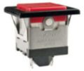 P01 Series Indicator